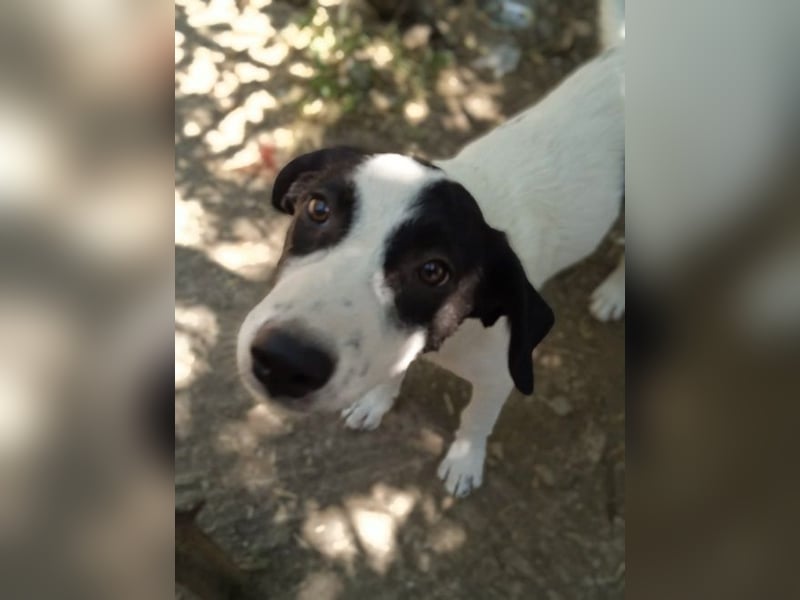 Alice-Enna -  sie und ihre zwei Schwestern wurden ausgesetzt – dort, wo man auch Müll entsorgt.