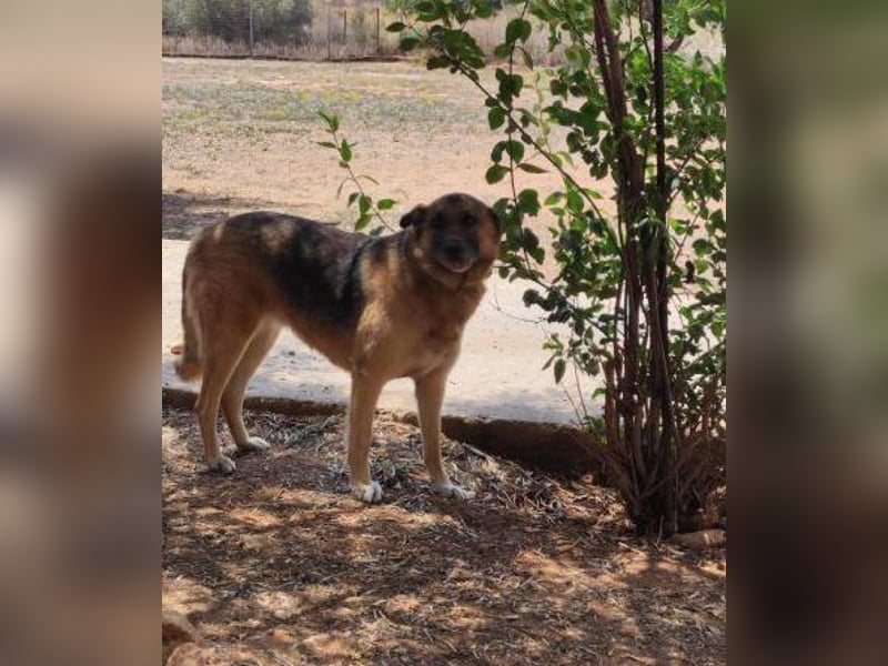 Emma - sie wartet schon so lange. Nur, weil sie Fremden nicht gleich um den Hals fällt?