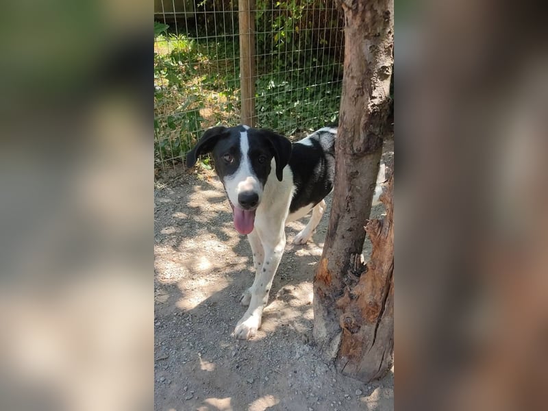 Charis AF - tut sich schwer mit neuen Menschen