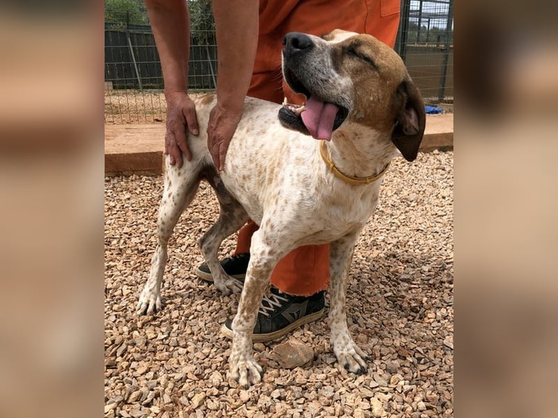 Markos - er ist voller Energie, aber auch äußerst zärtlich