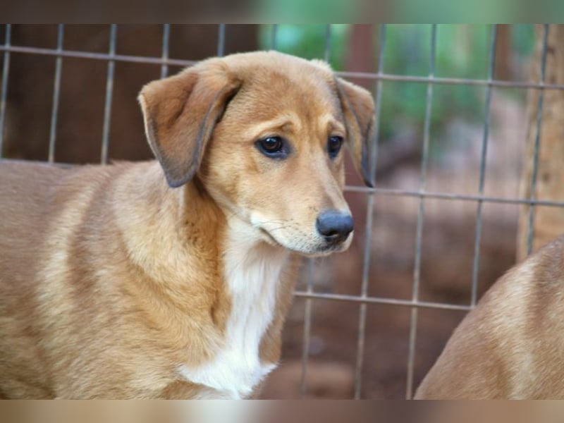 Schüchterne Millie würde gerne mehr vom Leben kennenlernen