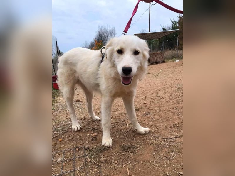 Alice-Dahlia - ausgesetzt, zusammen mit ihrer Schwester