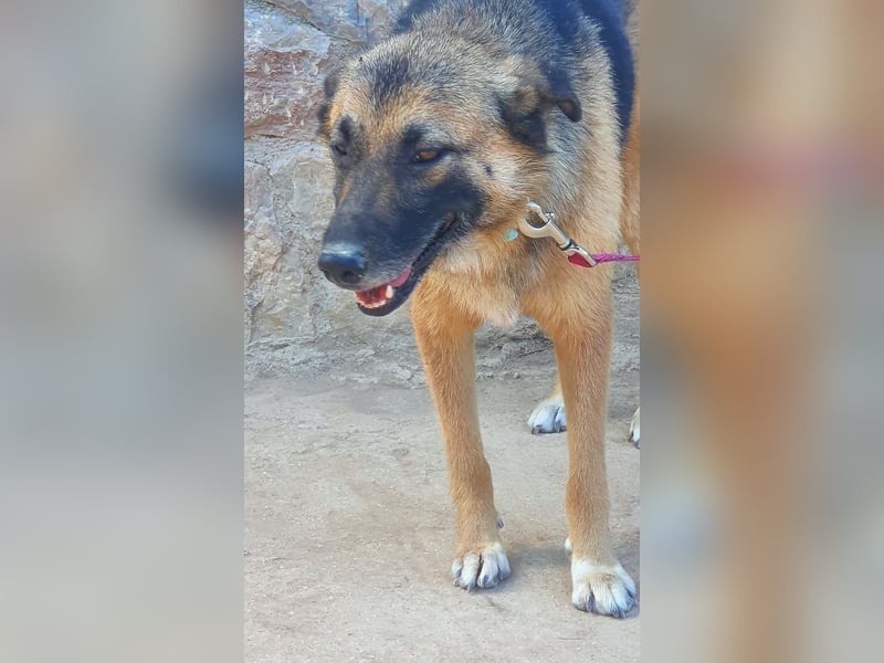 Emma - sie wartet schon so lange. Nur, weil sie Fremden nicht gleich um den Hals fällt?