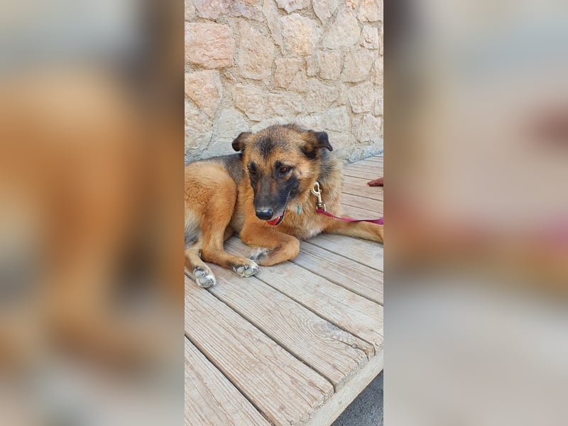 Emma - sie wartet schon so lange. Nur, weil sie Fremden nicht gleich um den Hals fällt?