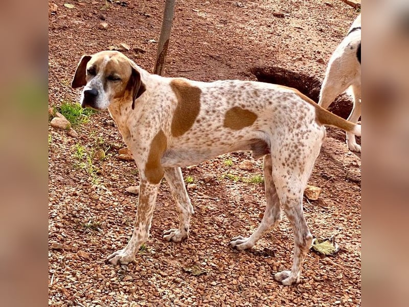 Markos - er ist voller Energie, aber auch äußerst zärtlich