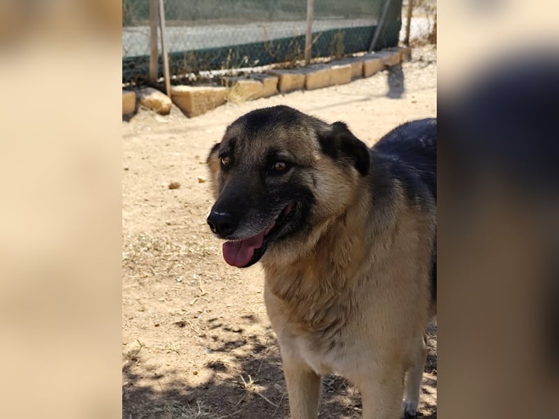 Emma - sie wartet schon so lange. Nur, weil sie Fremden nicht gleich um den Hals fällt?