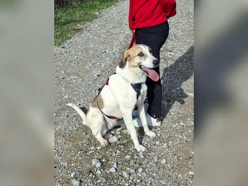 Betty-Alisa - Streichelpersonal gesucht!