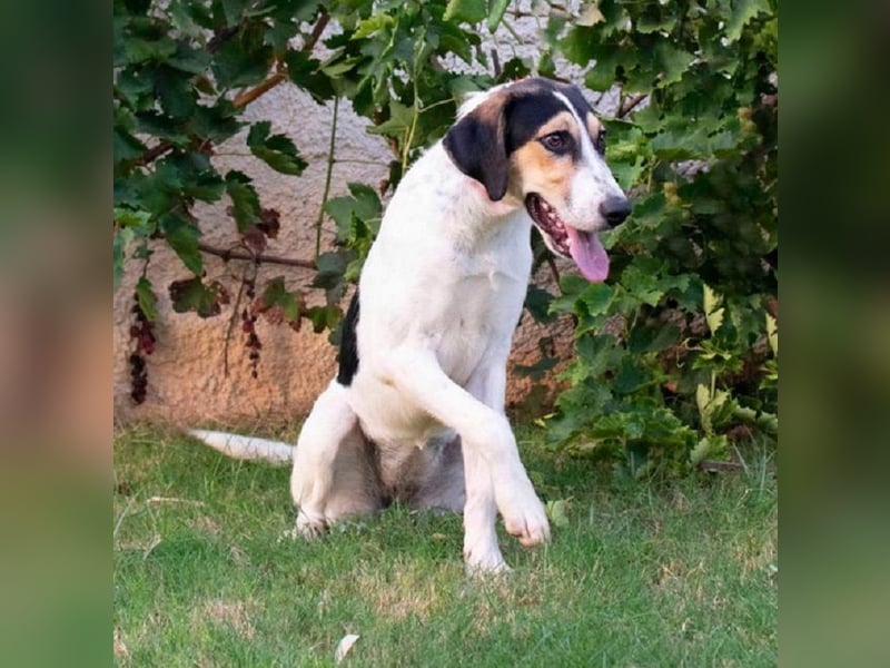 Bea - am liebsten ist sie ganz nah bei Menschen