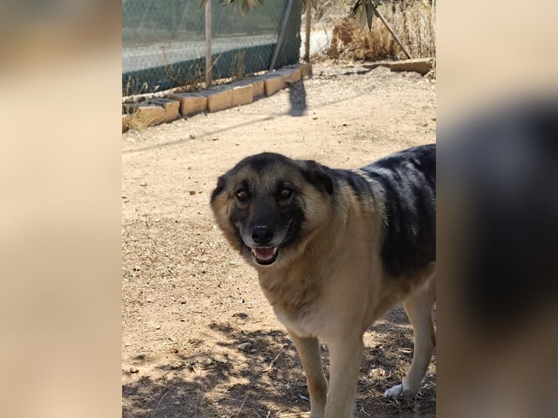 Emma - sie wartet schon so lange. Nur, weil sie Fremden nicht gleich um den Hals fällt?