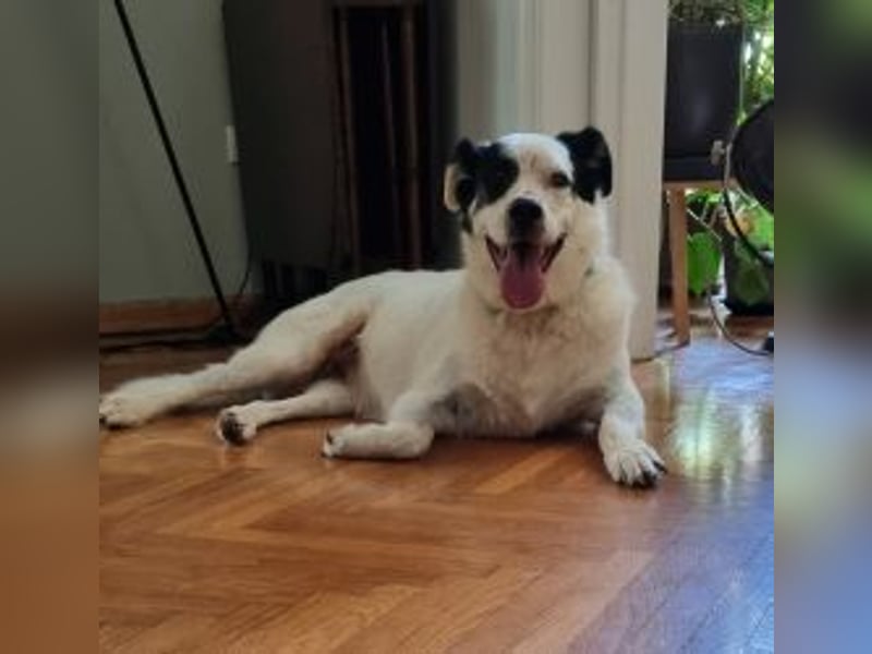 Vienna - gestern zuhause, heute Shelter – der Schock sitzt tief