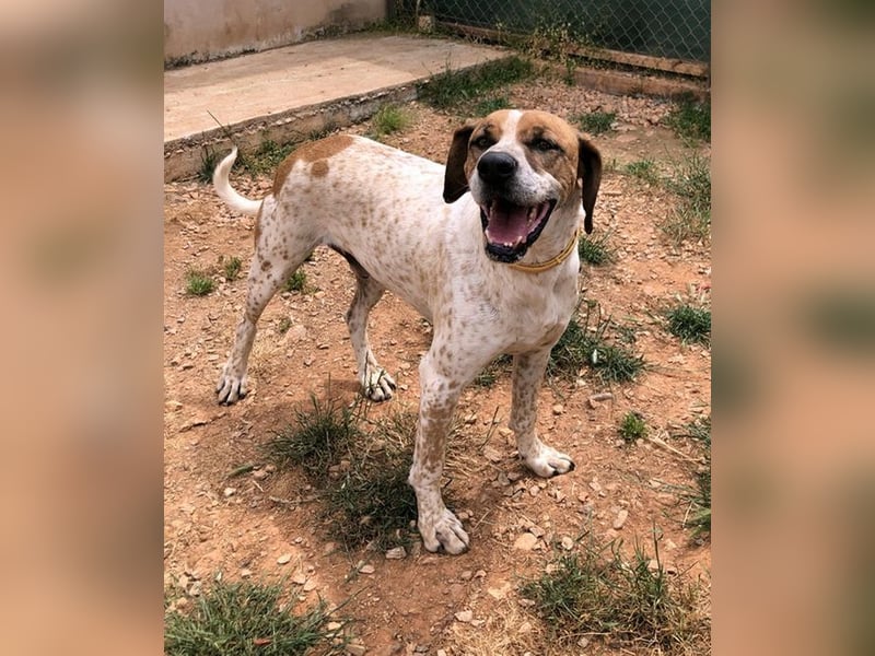 Markos - er ist voller Energie, aber auch äußerst zärtlich