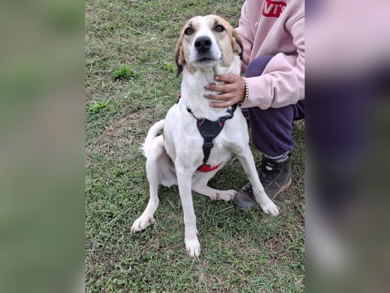 Betty-Alisa - Streichelpersonal gesucht!