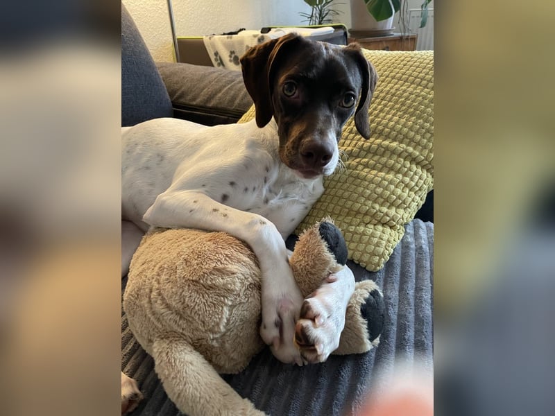 Lottie - Wirbelwind sucht Neustart