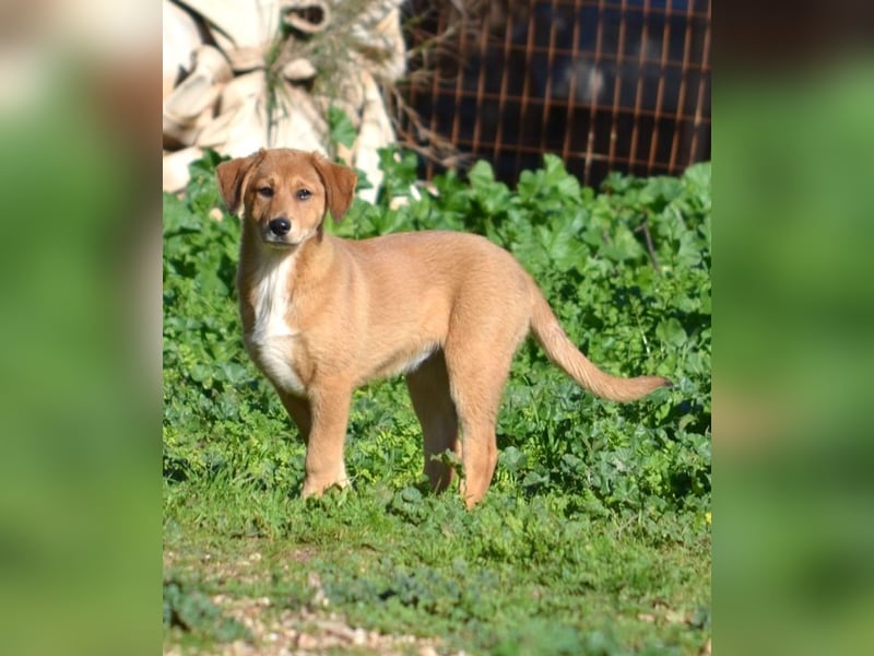 Schüchterne Millie würde gerne mehr vom Leben kennenlernen