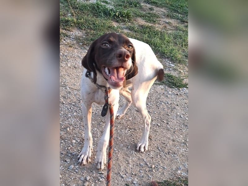 Lottie - Wirbelwind sucht Neustart