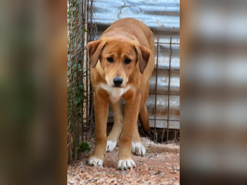 Schüchterne Millie würde gerne mehr vom Leben kennenlernen