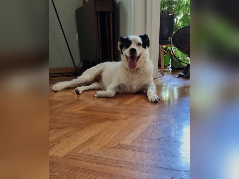 Vienna - gestern zuhause, heute Shelter – der Schock sitzt tief