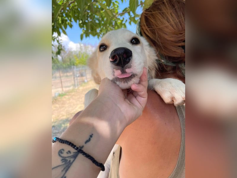 Alice-Dahlia - ausgesetzt, zusammen mit ihrer Schwester