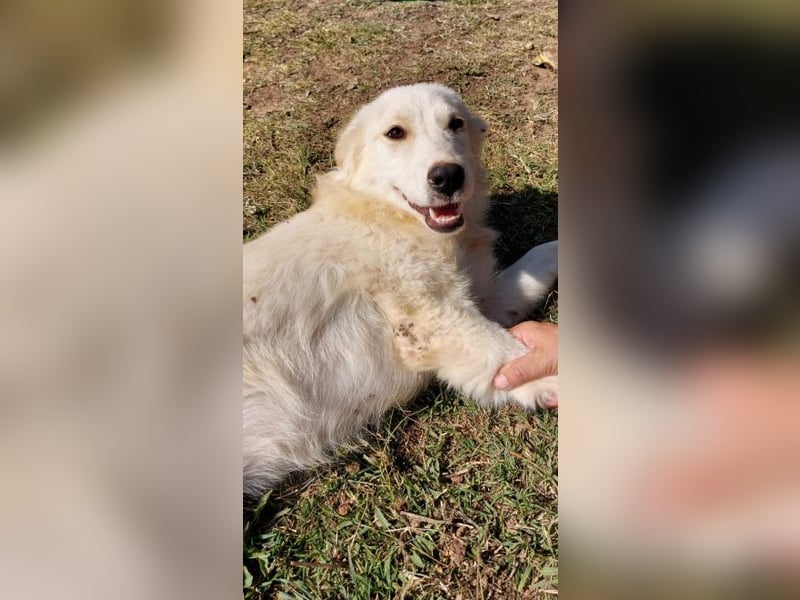 Alice-Dahlia - ausgesetzt, zusammen mit ihrer Schwester