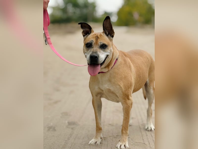 Godiva - Liebevolle Seniorin wartet auf ihr Happy-End