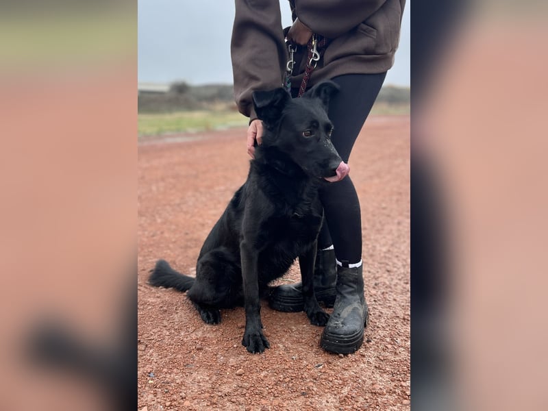 JACKY - Schwarze aktive  Schönheit!