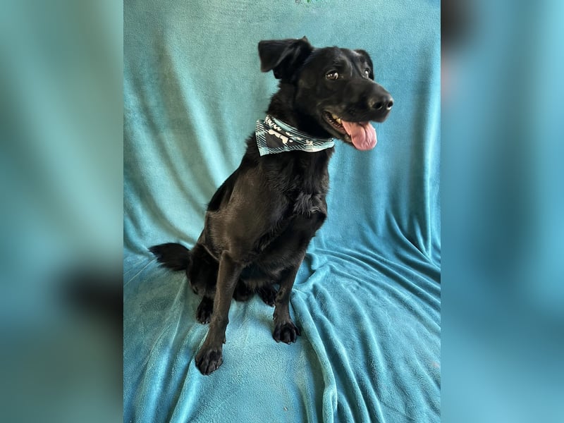 JACKY - Schwarze aktive  Schönheit!