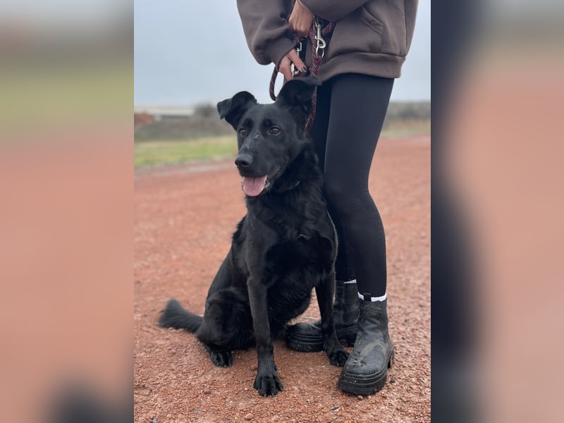 JACKY - Schwarze aktive  Schönheit!