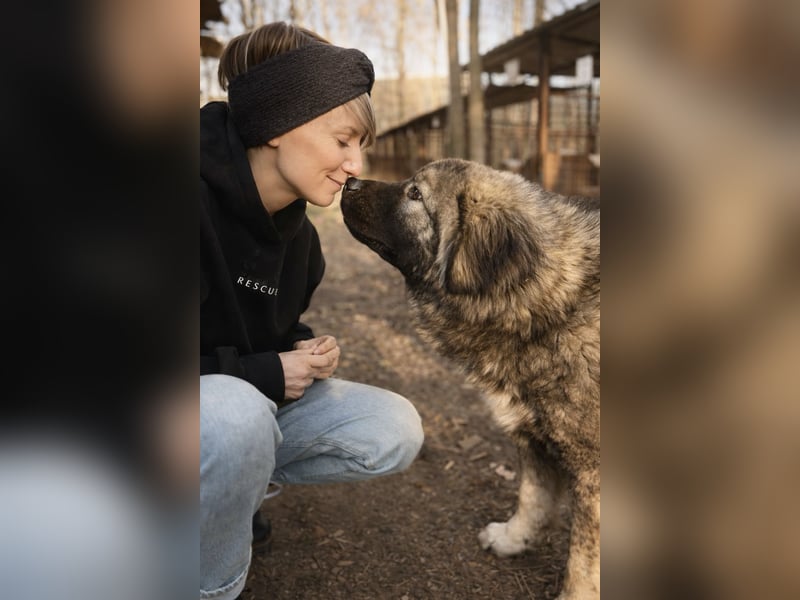 Naya - Süße Herdenschutzhündin sucht erfahrene Menschen