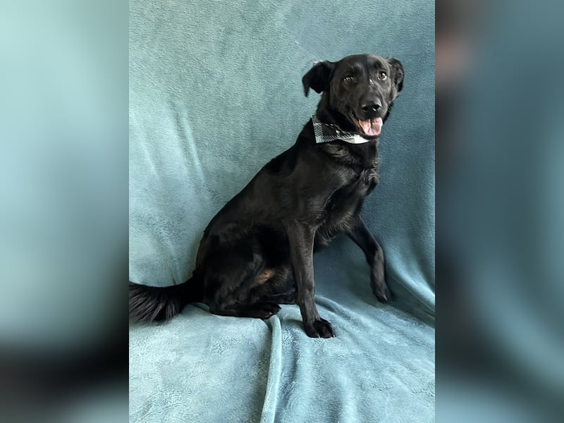 JACKY - Schwarze aktive  Schönheit!