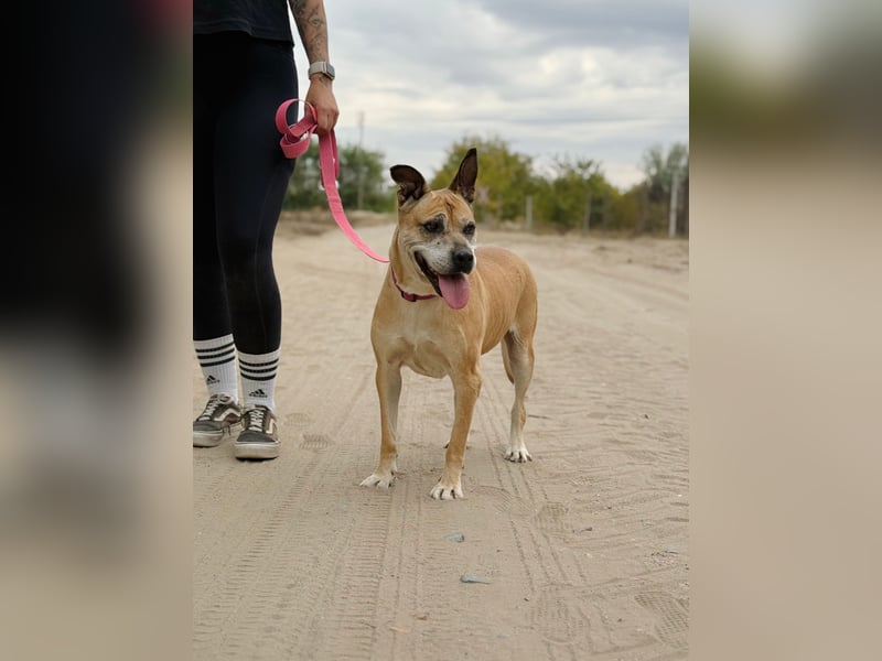 Godiva - Liebevolle Seniorin wartet auf ihr Happy-End