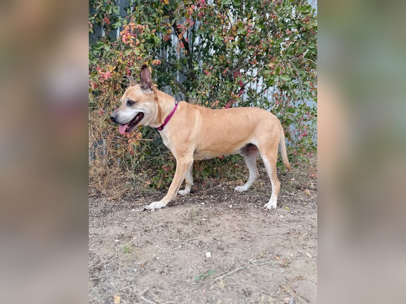 Godiva - Liebevolle Seniorin wartet auf ihr Happy-End