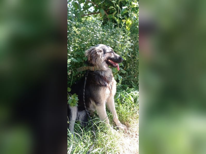 Diana, freundlich und bescheiden