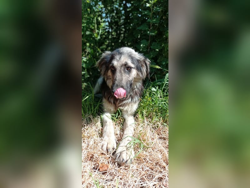 Diana, freundlich und bescheiden