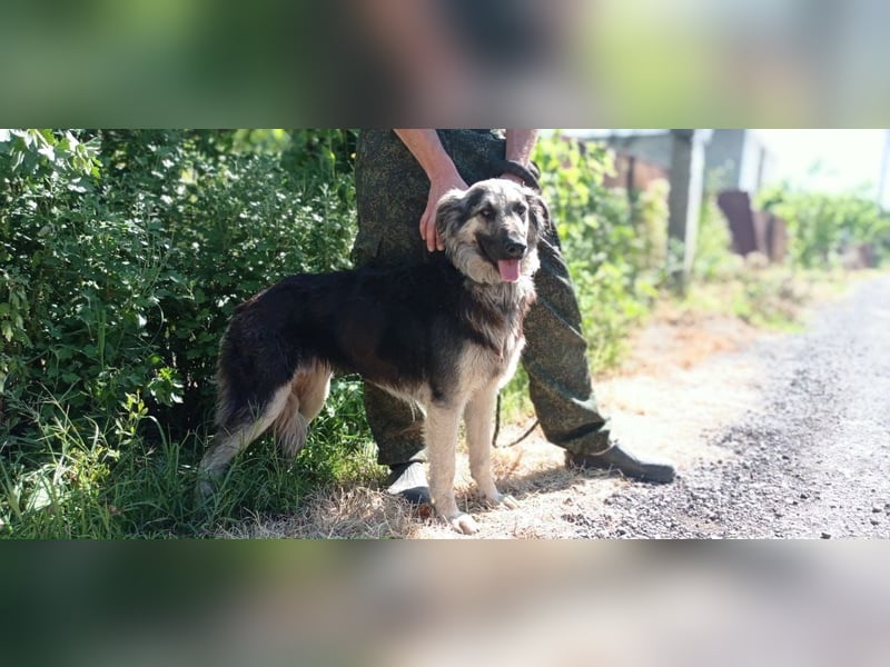 Diana, freundlich und bescheiden