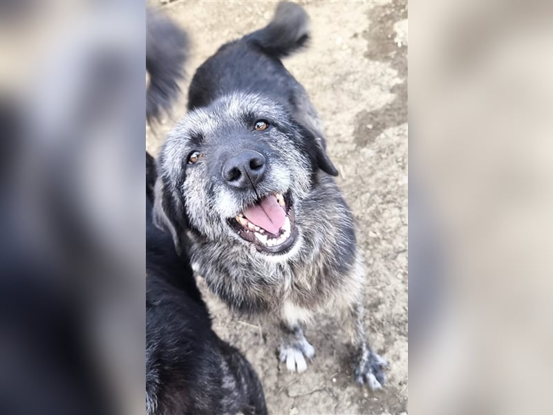 Sara - fröhlich und aufgeschlossen