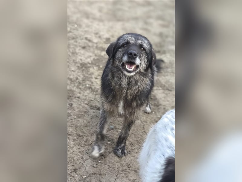 Sara - fröhlich und aufgeschlossen