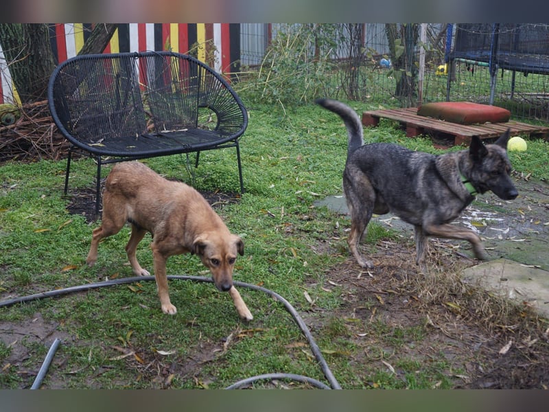 Jessy - sanft und freundlich