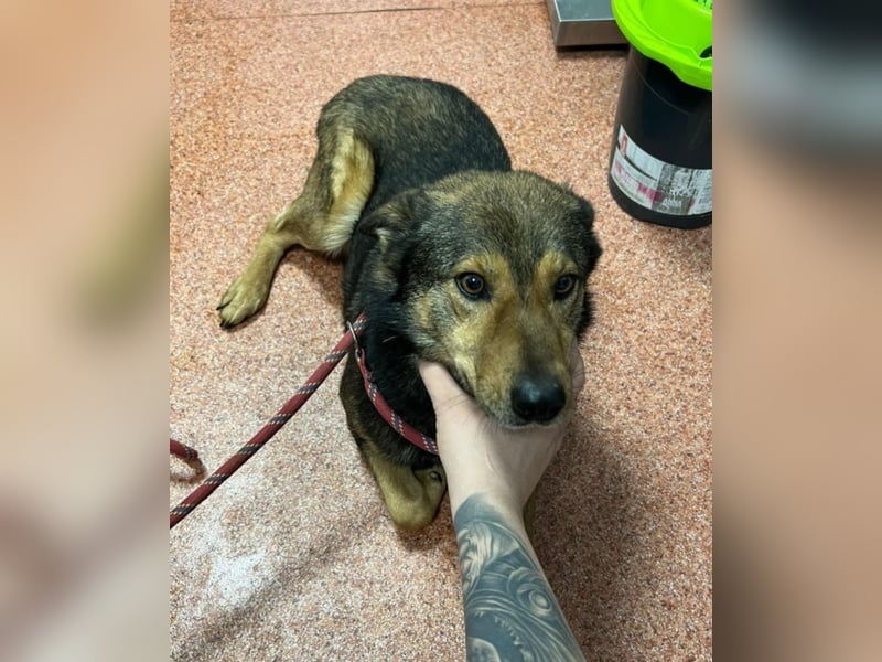 Jerry wartet schon unfassbar lange