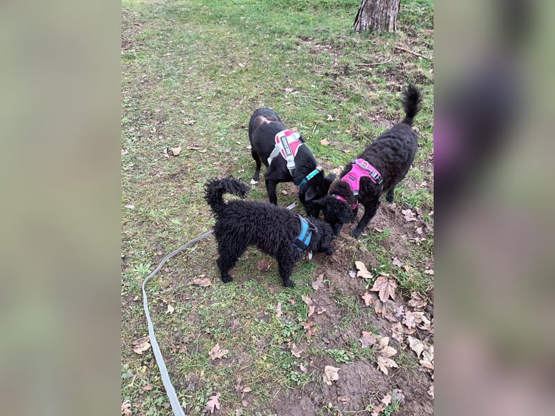 Tikva - liebt es ruhig