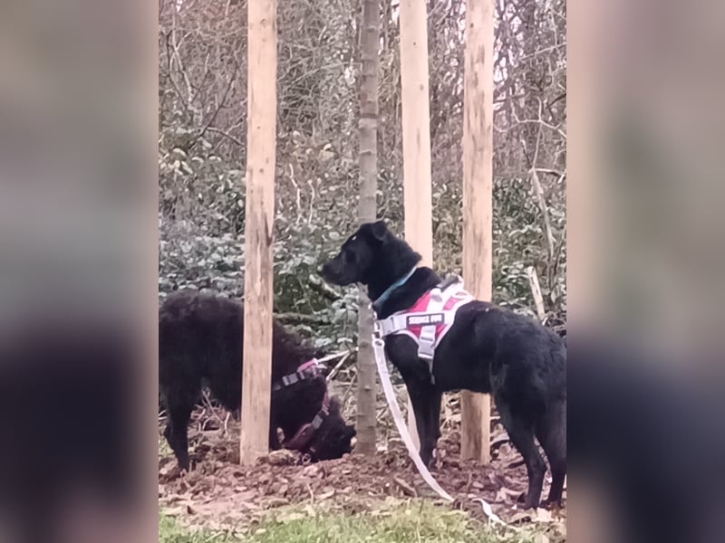 Tikva - liebt es ruhig