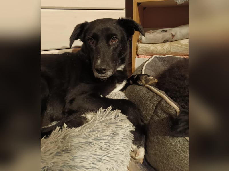 Tikva - liebt es ruhig