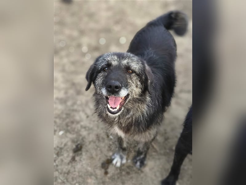 Sara - fröhlich und aufgeschlossen