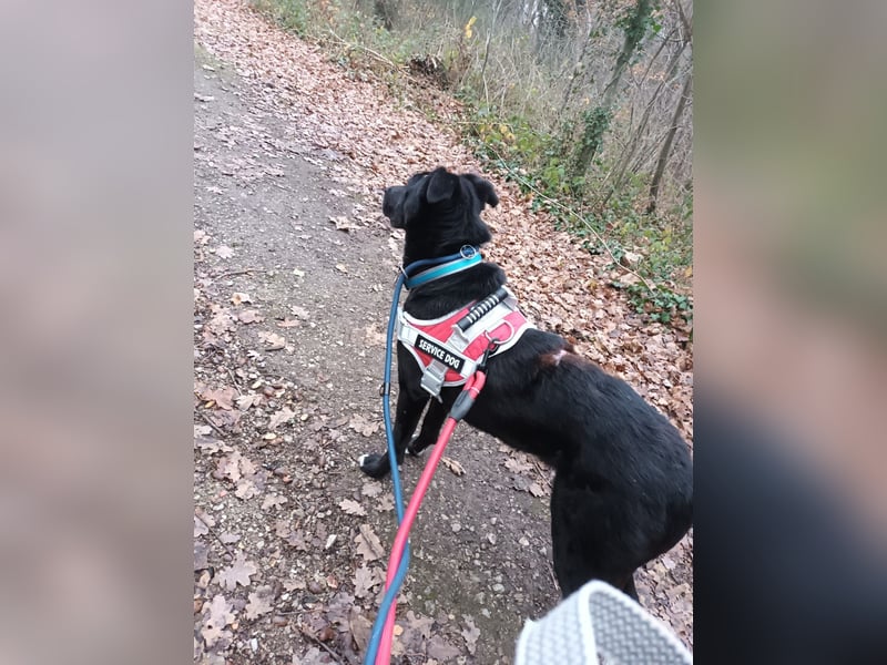 Tikva - liebt es ruhig