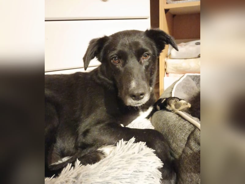 Tikva - liebt es ruhig