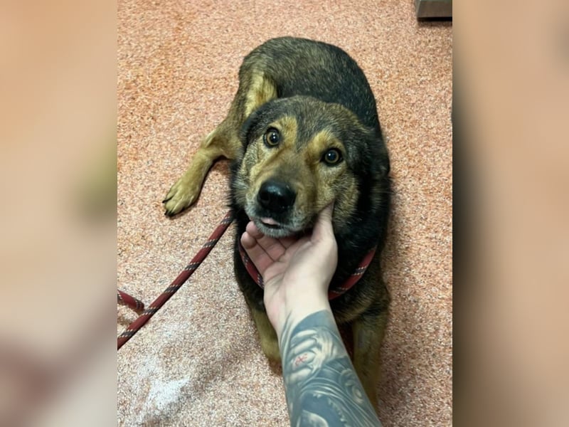 Jerry wartet schon unfassbar lange