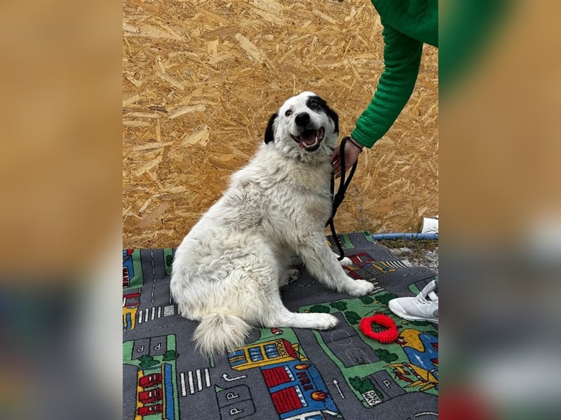 Bianca - sucht ihren Retter