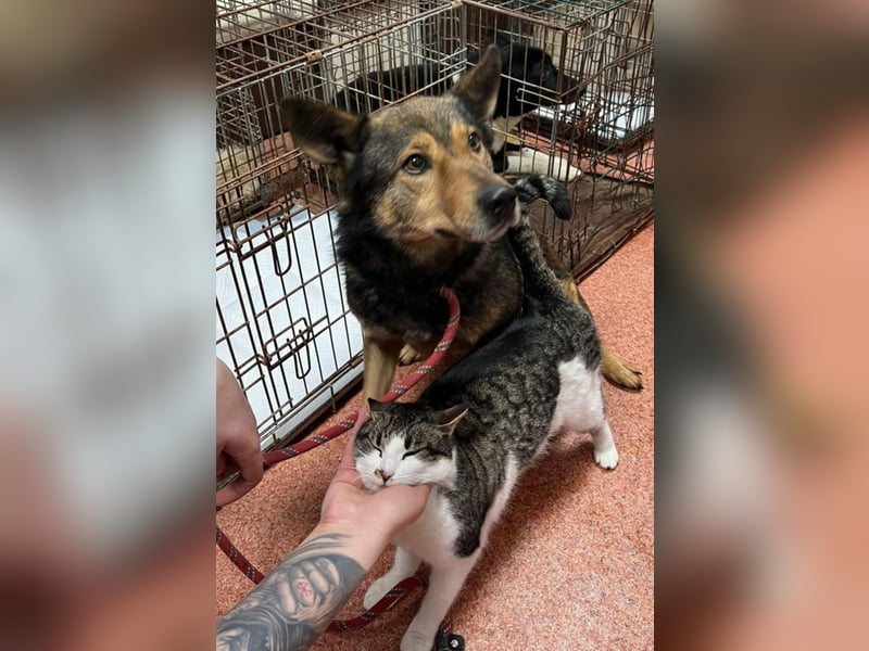 Jerry wartet schon unfassbar lange