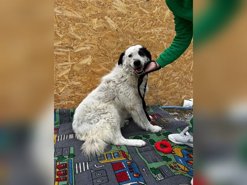 Bianca - sucht ihren Retter