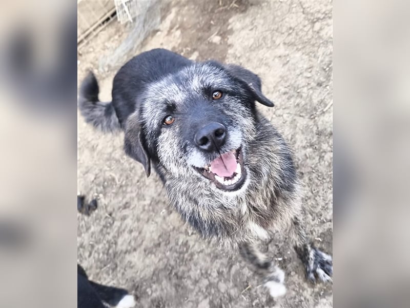 Sara - fröhlich und aufgeschlossen