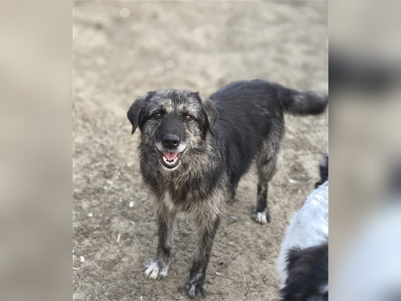 Sara - fröhlich und aufgeschlossen